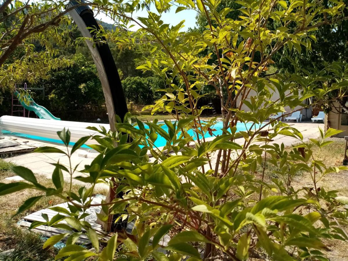 Maison D'Hotes Eco-Responsable Avec Piscine 6X12M Châteaudouble Exteriör bild