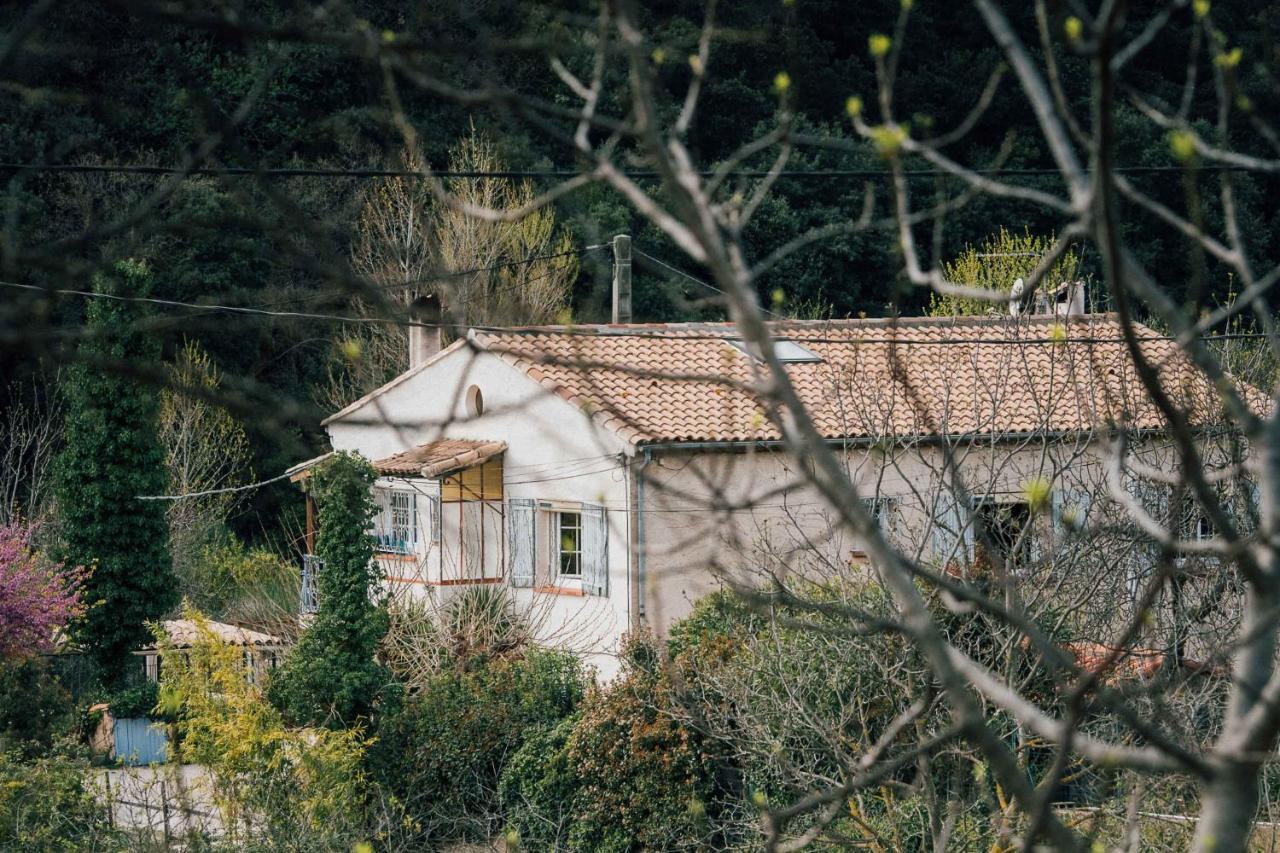 Maison D'Hotes Eco-Responsable Avec Piscine 6X12M Châteaudouble Exteriör bild