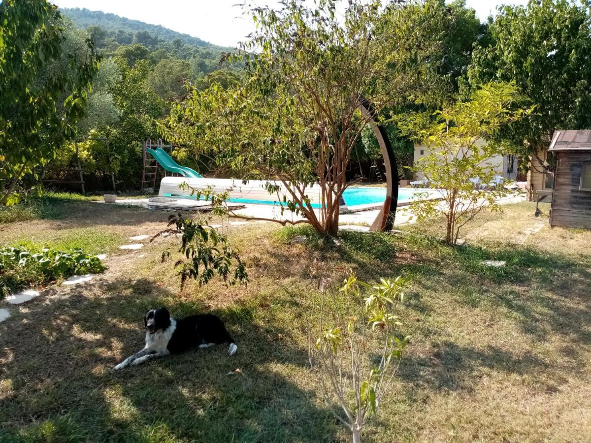 Maison D'Hotes Eco-Responsable Avec Piscine 6X12M Châteaudouble Exteriör bild